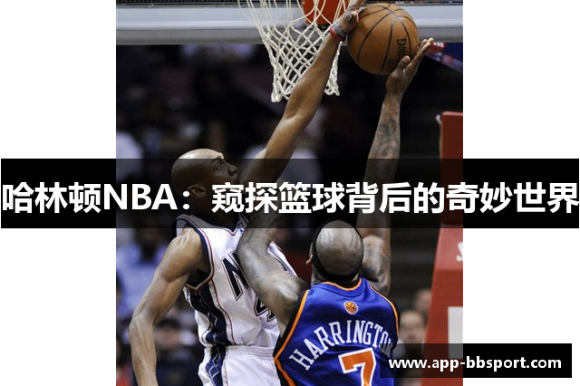 哈林顿NBA：窥探篮球背后的奇妙世界