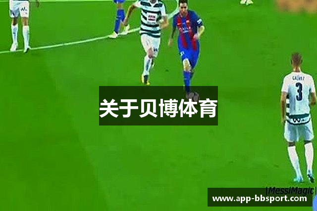 关于贝博体育